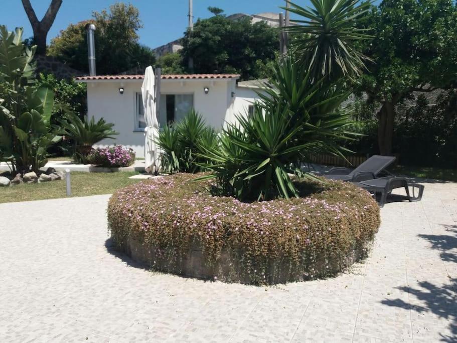Casa Vacanza M&C Ischia Forio di Ischia 外观 照片